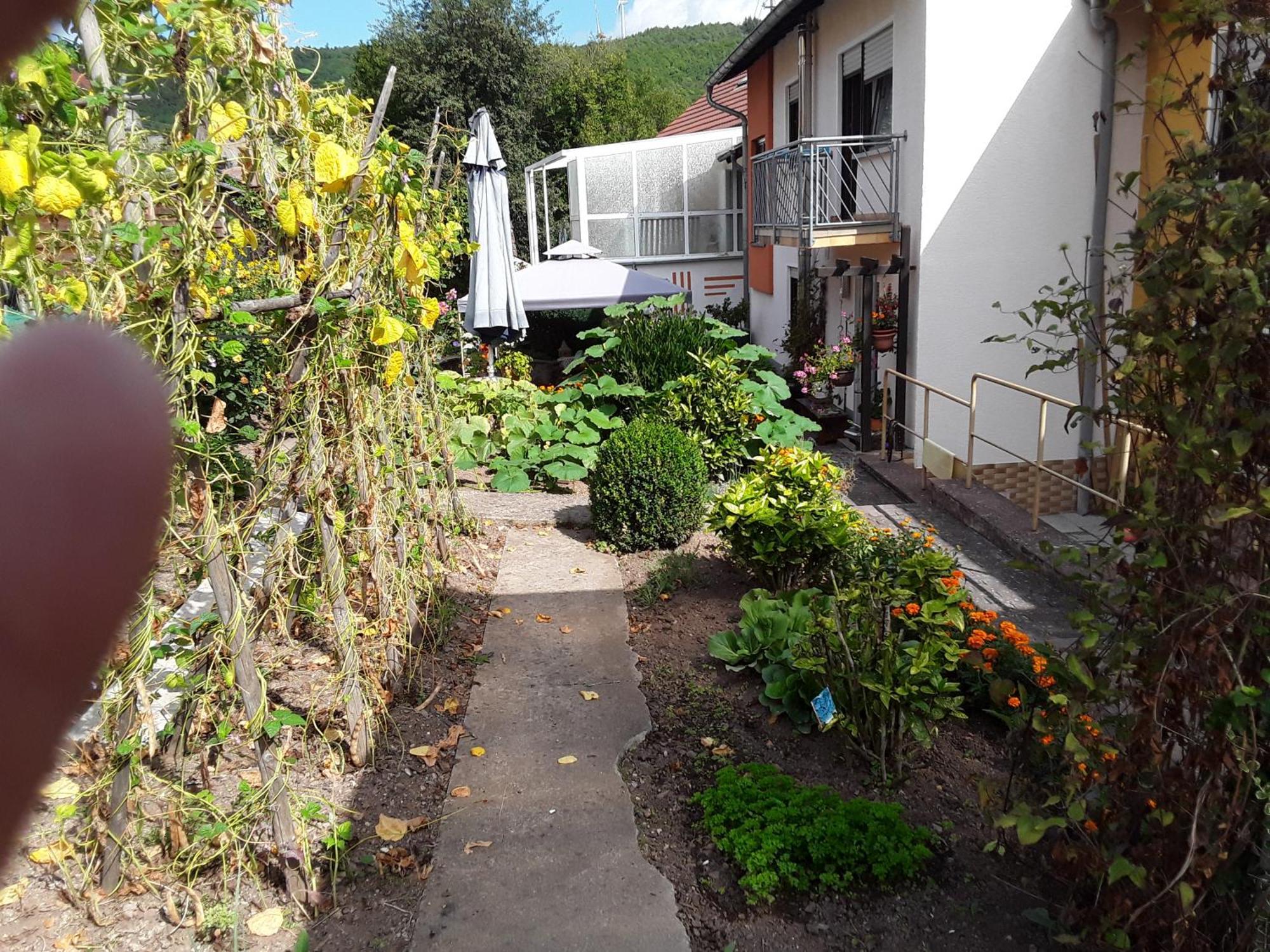 Haus Kallin Idar-Oberstein Exterior foto